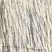 Drawing 48